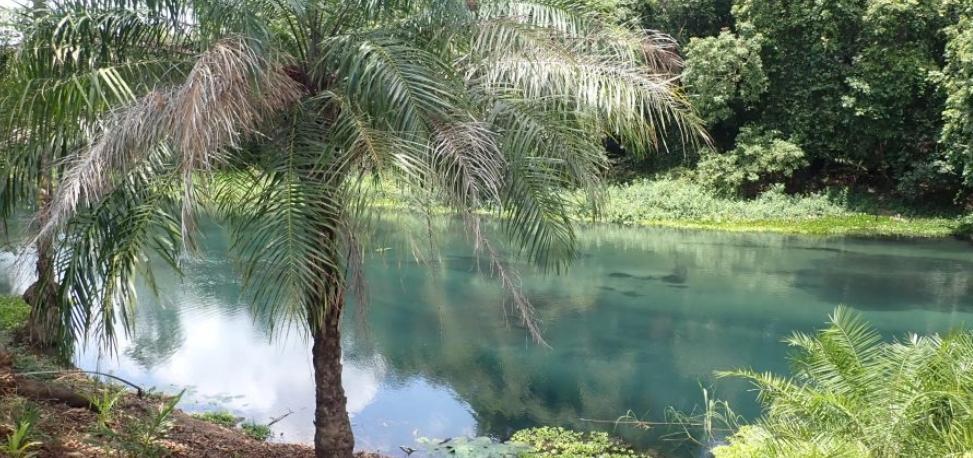 AKWABA TOURS AND TRAVEL Niari tour